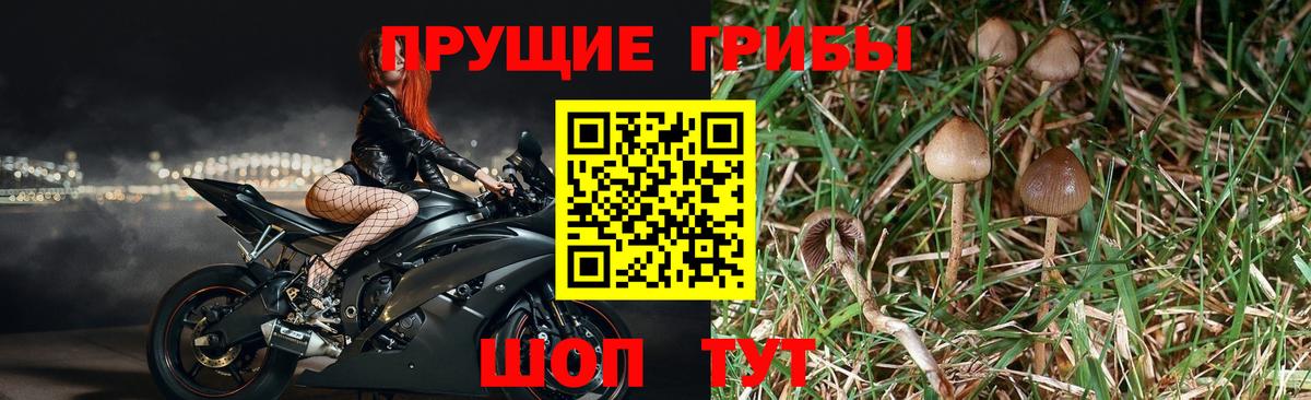 Псилоцибиновые грибы мухоморы Лангепас